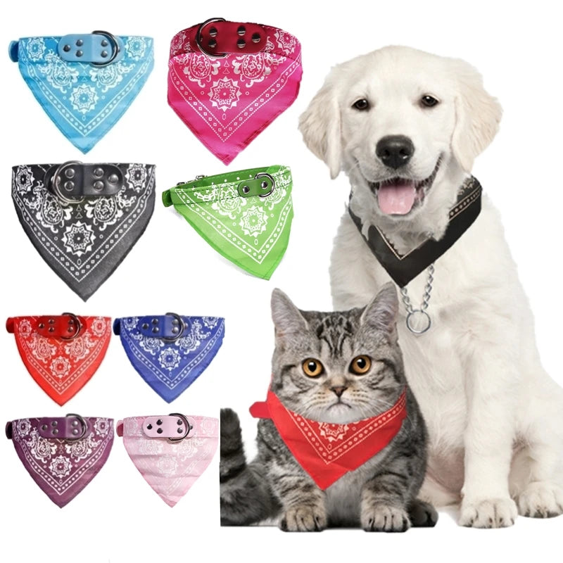 Pet Collars With Print Scarf