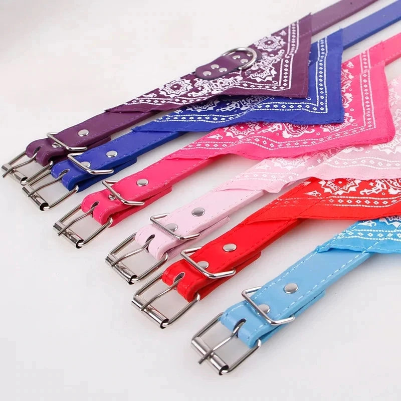 Pet Collars With Print Scarf