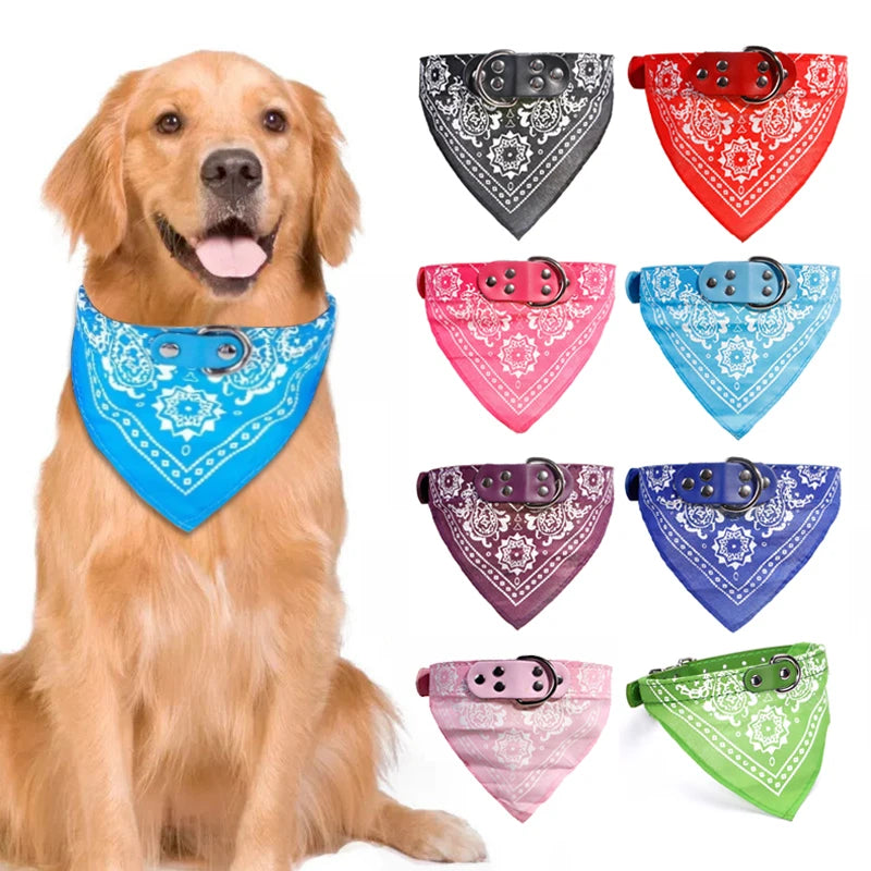 Pet Collars With Print Scarf