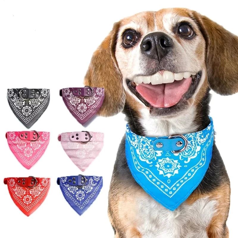 Pet Collars With Print Scarf