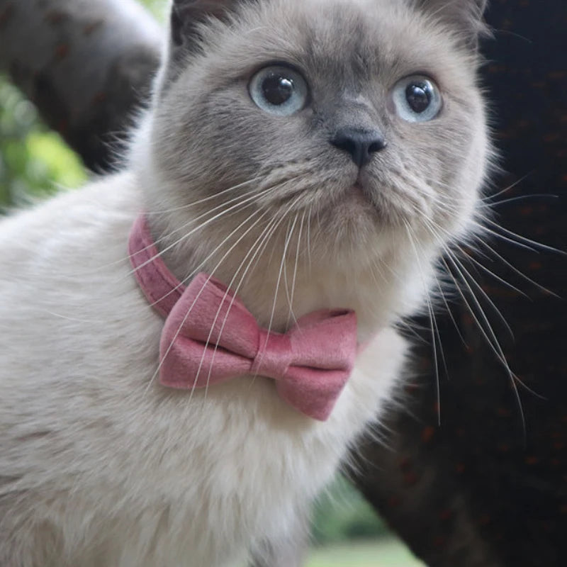 Velvet Cat Collar