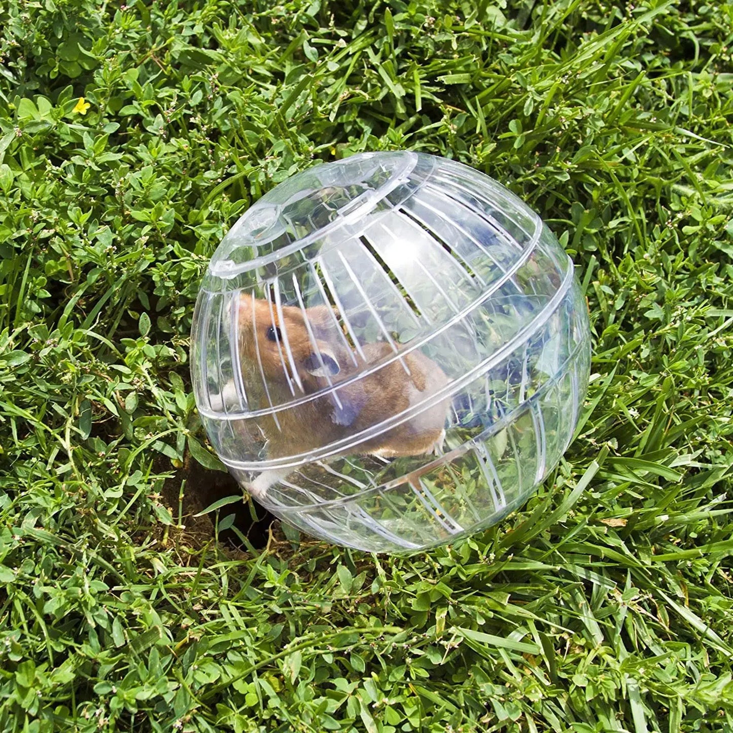 Outdoor Sport Ball Grounder Toy