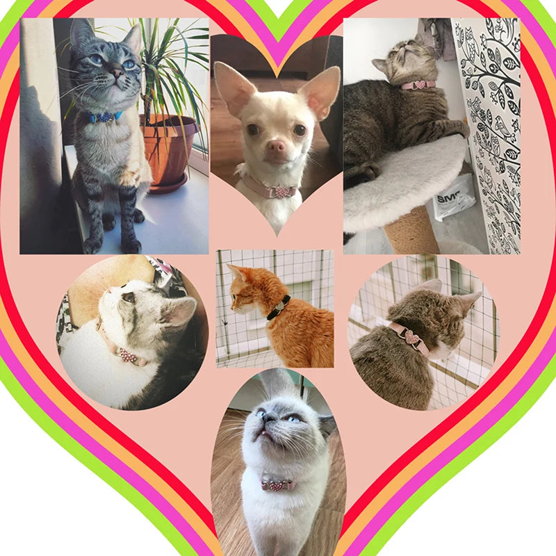 Heart Charm Bell Cat Collar