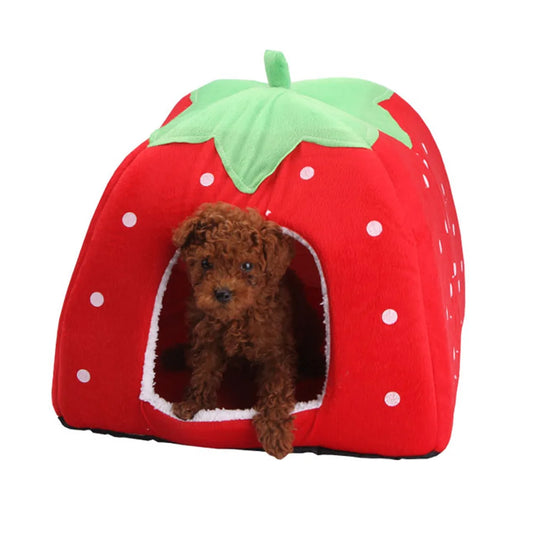 Cute Strawberry Pet House