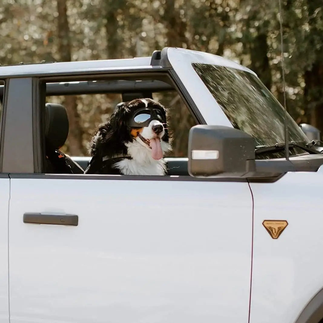 Anti-UV Transparent Dog Sunglasses