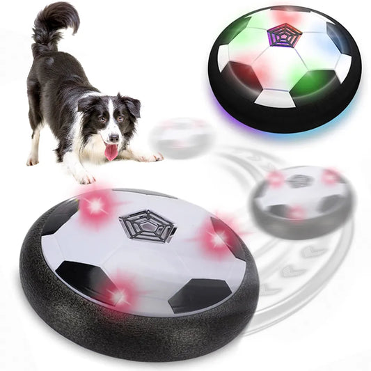 Electric Smart Dog Toy