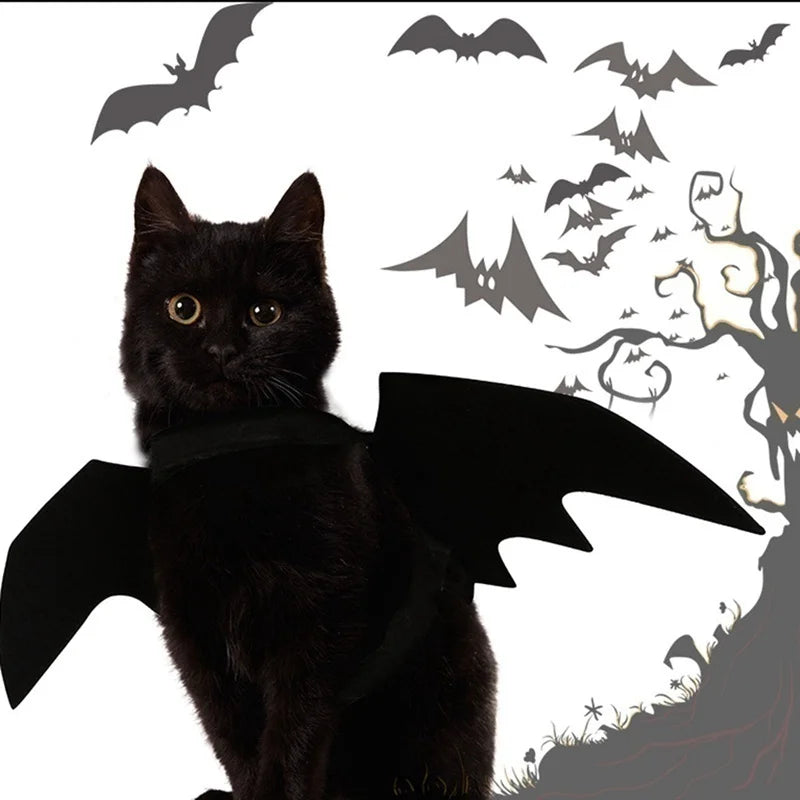 Halloween Black Bat Wings