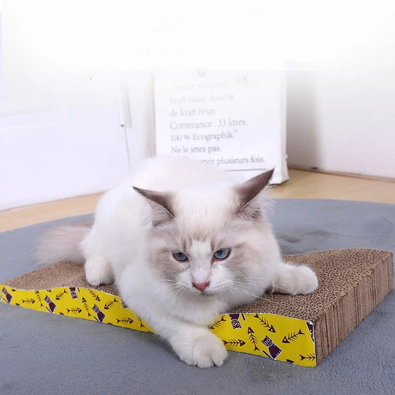 New Bowl Cat Scraper