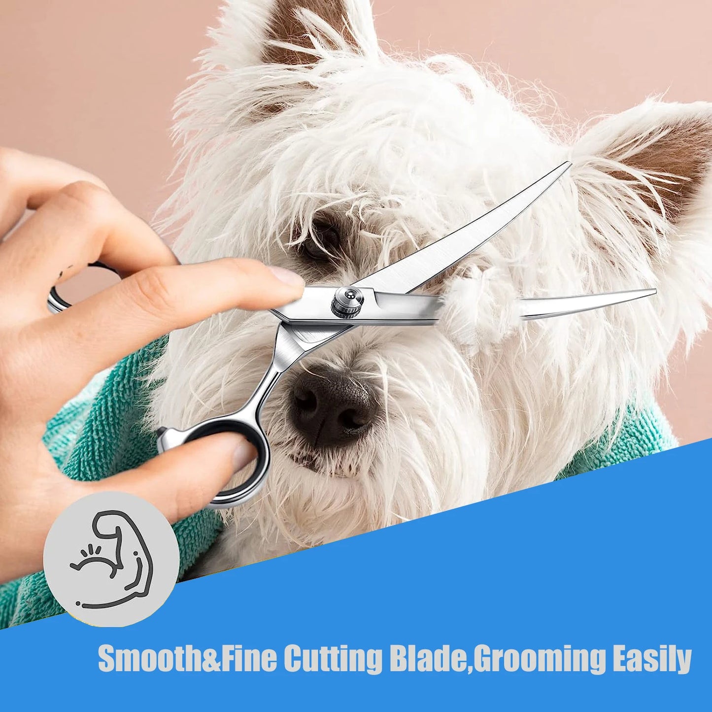 Stainless Steel Dog Scissors