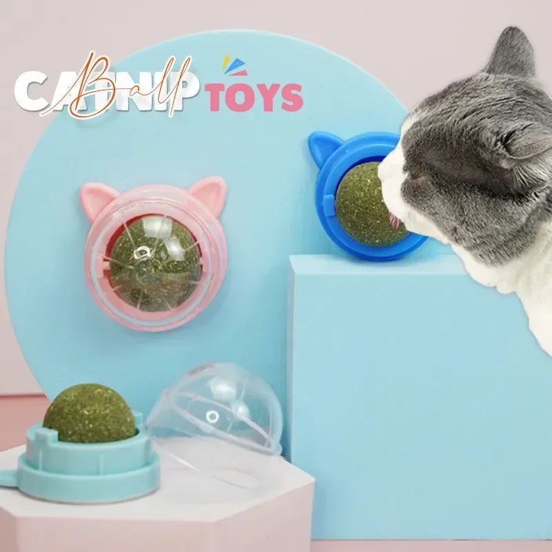 Rotatable Catnip Wall Ball Toys