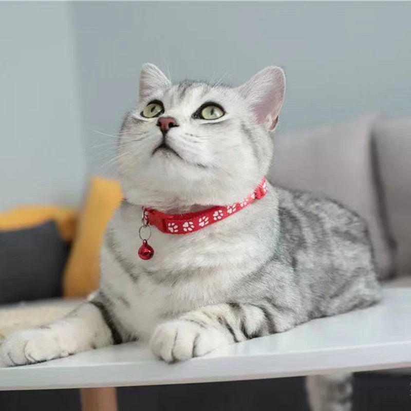 Colorful Cute Bell Collar