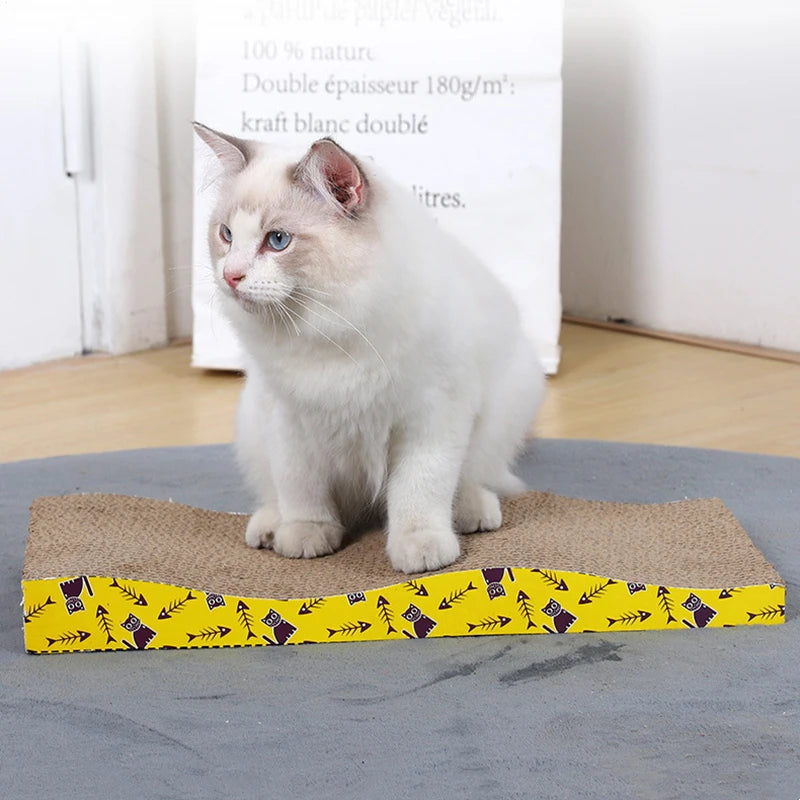 New Bowl Cat Scraper