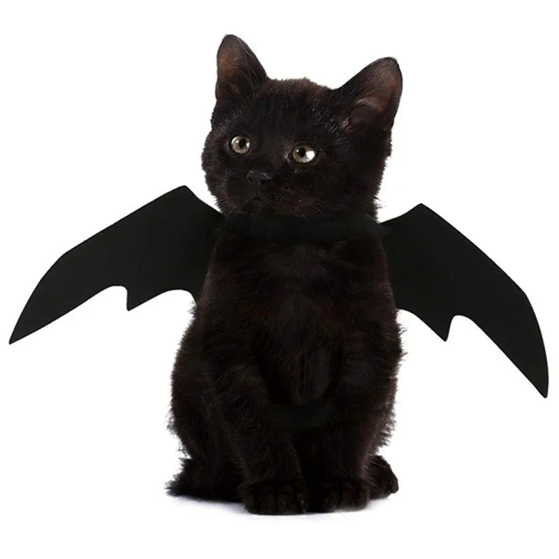Halloween Black Bat Wings